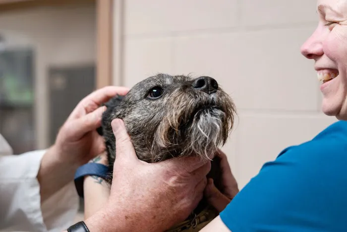Veterinary Associates 3