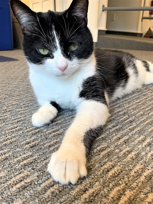 Goodison Veterinary Center 9