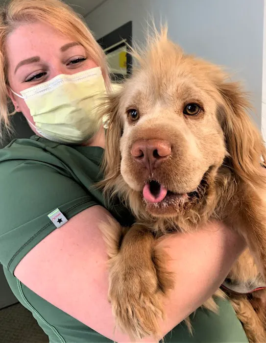 Goodison Veterinary Center 4