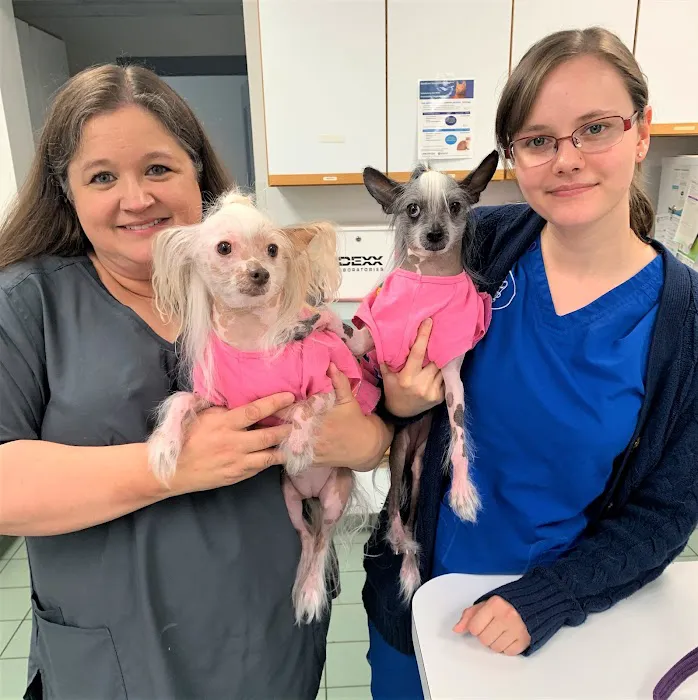 Goodison Veterinary Center 10