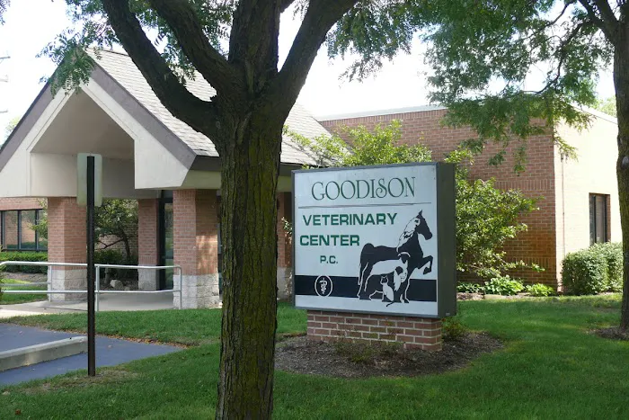 Goodison Veterinary Center 7