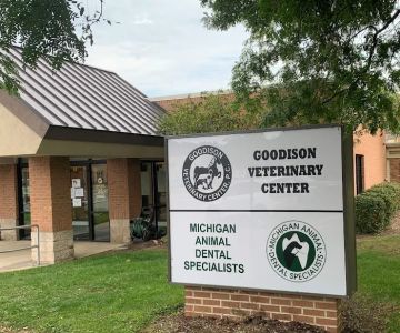 Goodison Veterinary Center