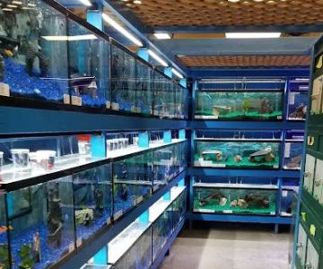 Atlas Pet Supply