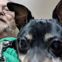 Rochester Veterinary Hospital ico