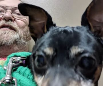 Rochester Veterinary Hospital
