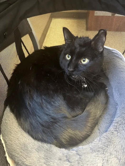 Rochester Veterinary Hospital 4