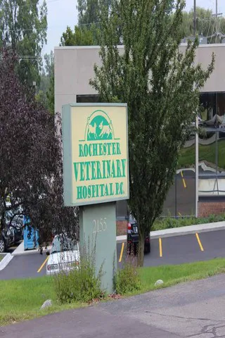 Rochester Veterinary Hospital 8
