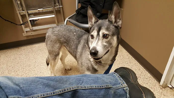 Rochester Veterinary Hospital 6