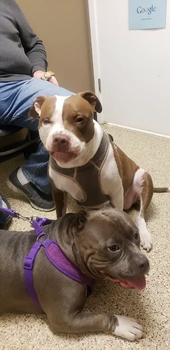Rochester Veterinary Hospital 2