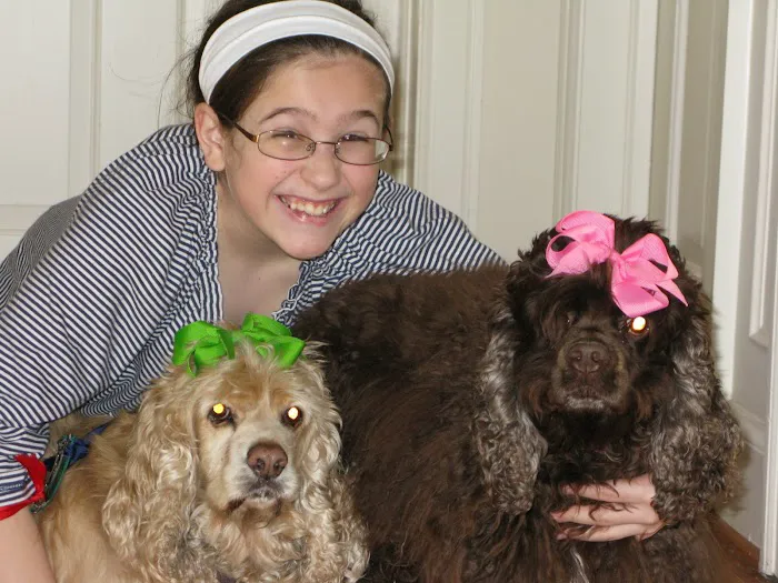 Platz Animal Hospital 8