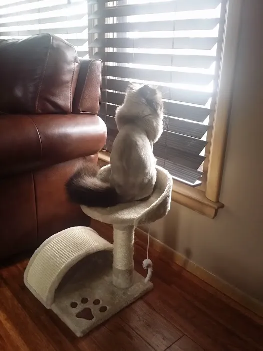 Grosse Pointe Animal Clinic 5