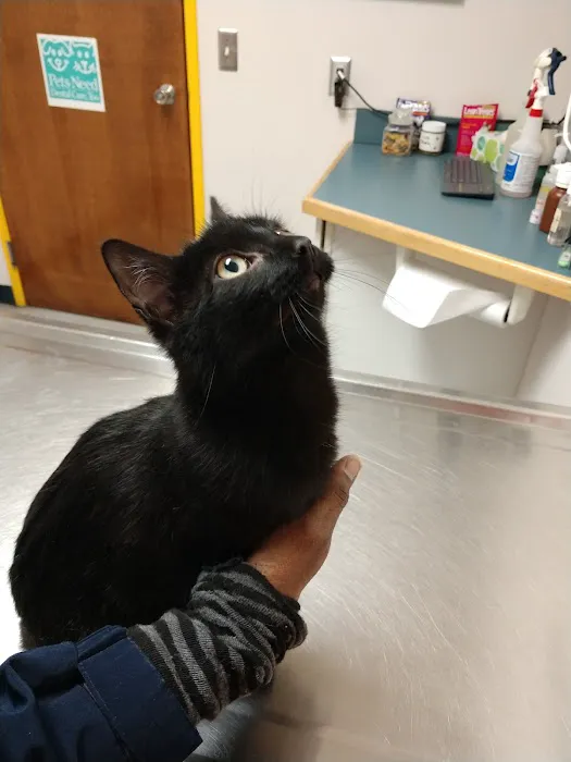 Jefferson Veterinary Center 3