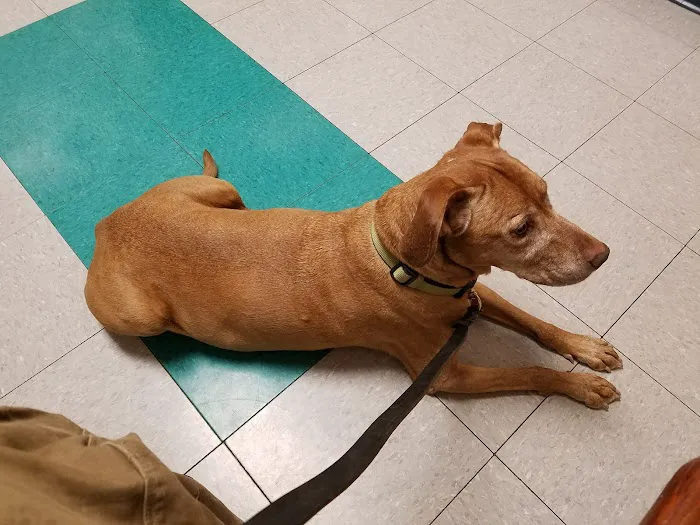 Jefferson Veterinary Center 7