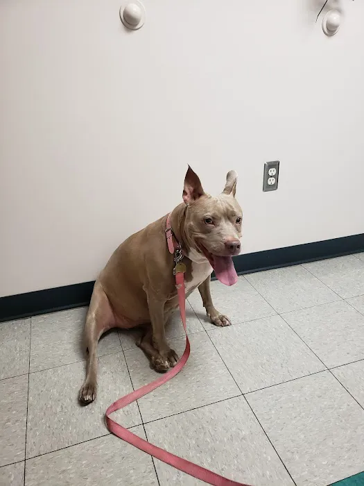 Jefferson Veterinary Center 8