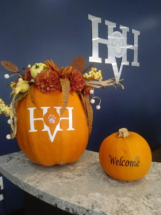 Hometown Veterinary Hospital 6