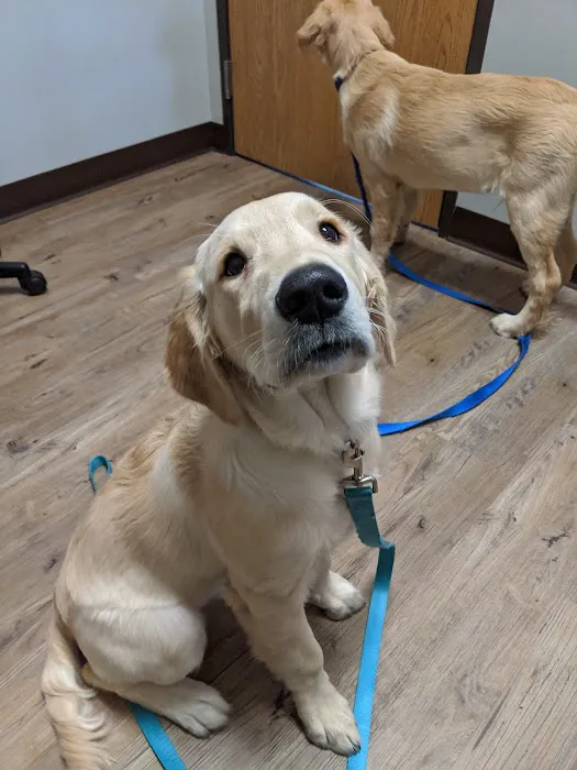 Hometown Veterinary Hospital 9