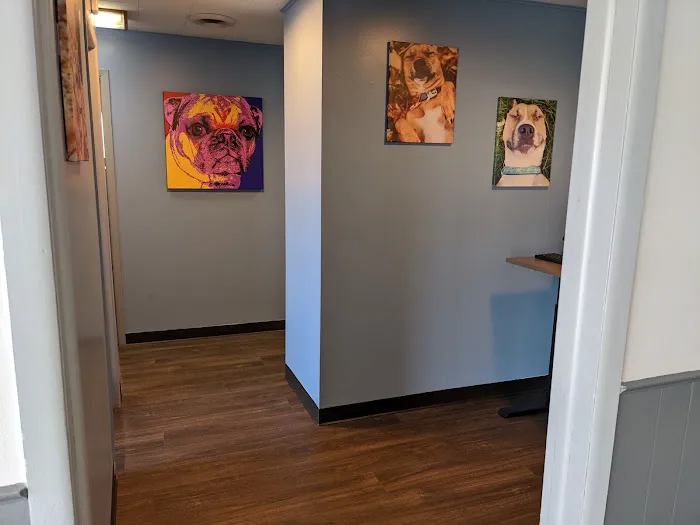 Hamilton Animal Hospital 6