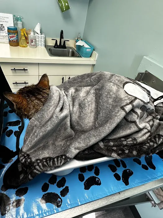 Hamilton Animal Hospital 3