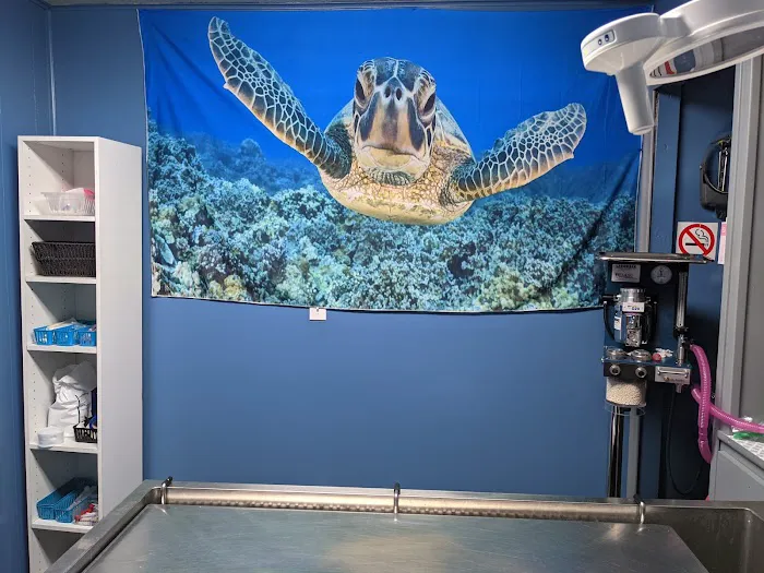 Hamilton Animal Hospital 5