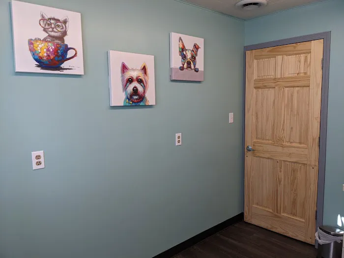 Hamilton Animal Hospital 1