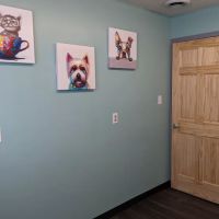 Hamilton Animal Hospital ico