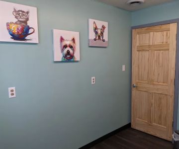 Hamilton Animal Hospital