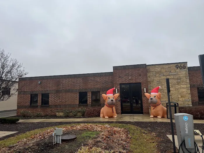 Pet Urgent Care 6