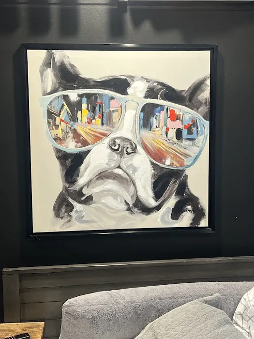 Pet Urgent Care 8
