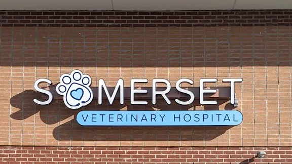 Somerset Veterinary Hospital 2