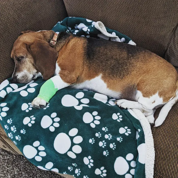 Somerset Veterinary Hospital 6