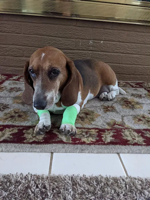 Somerset Veterinary Hospital 9