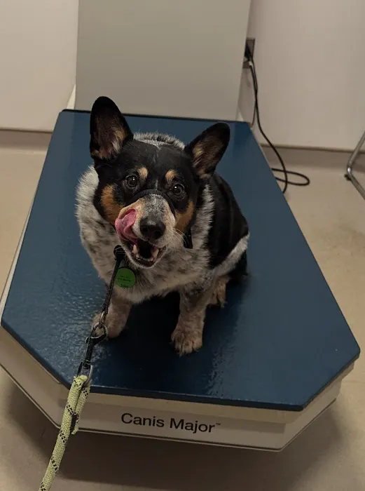 Kimball Animal Hospital 5