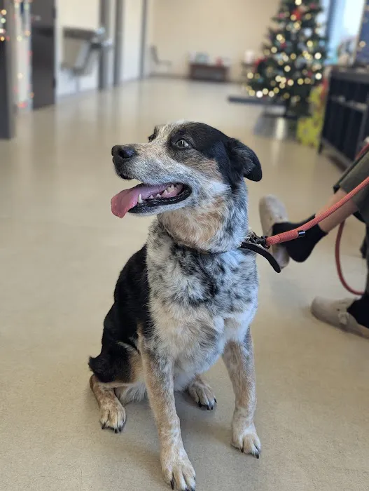 Kimball Animal Hospital 2