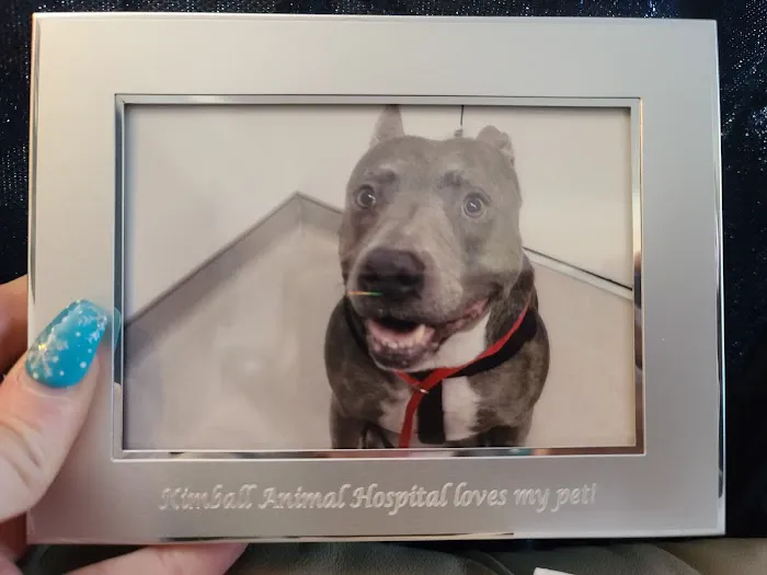 Kimball Animal Hospital 1