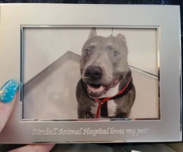 Kimball Animal Hospital