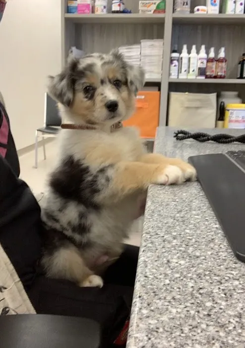 Kimball Animal Hospital 7