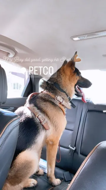 Vetco Vaccination Clinic 1
