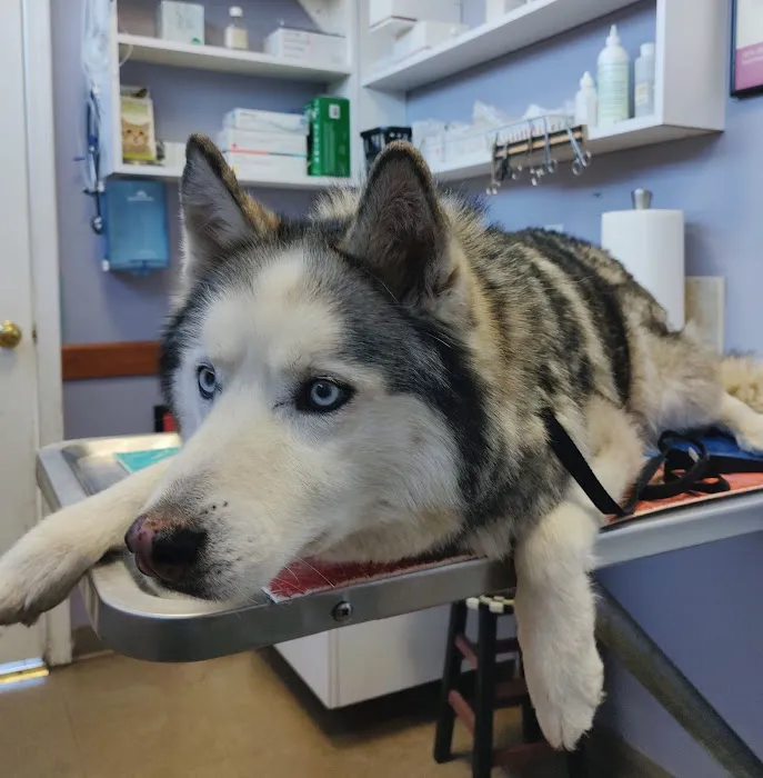 West Woodward Animal Hospital 2
