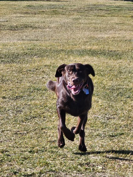 West Woodward Animal Hospital 8