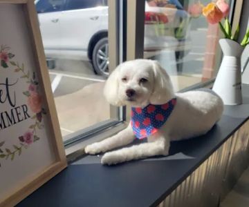 Muddy Paws Grooming Salon