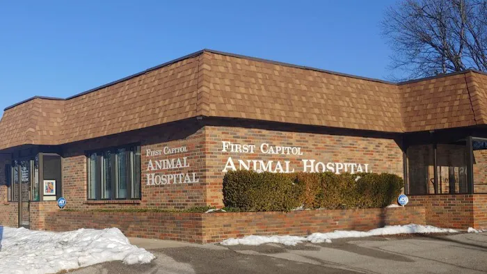 First Capitol Animal Hospital LLC 9