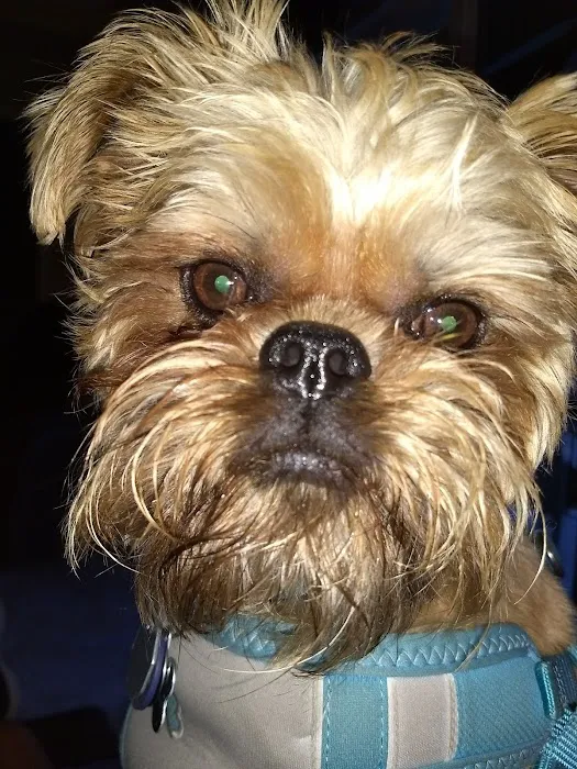 St Charles Animal Hospital 8