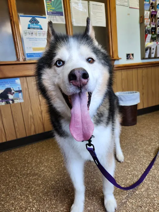 Normandy Animal Hospital Inc 1
