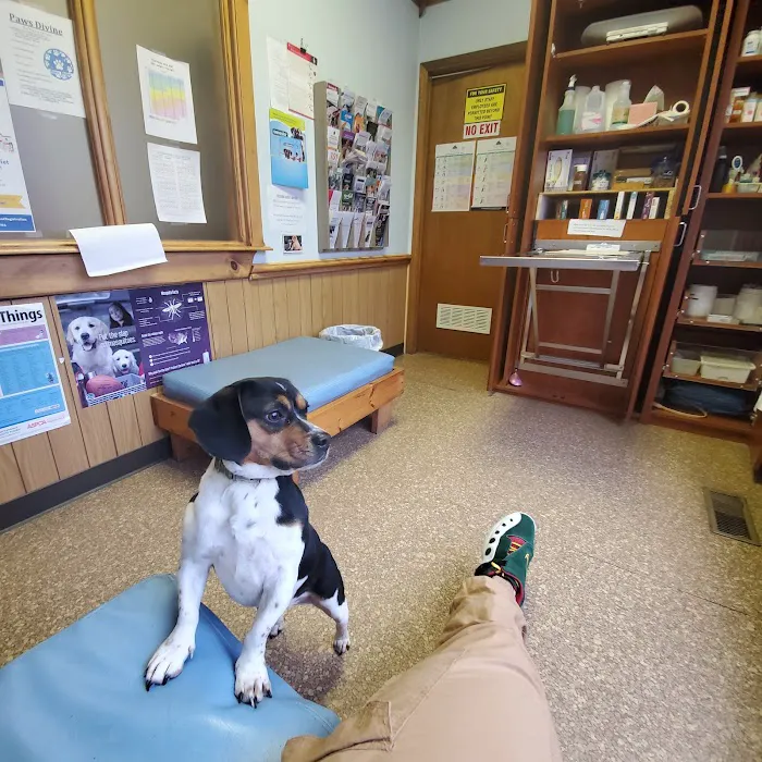Normandy Animal Hospital Inc 3