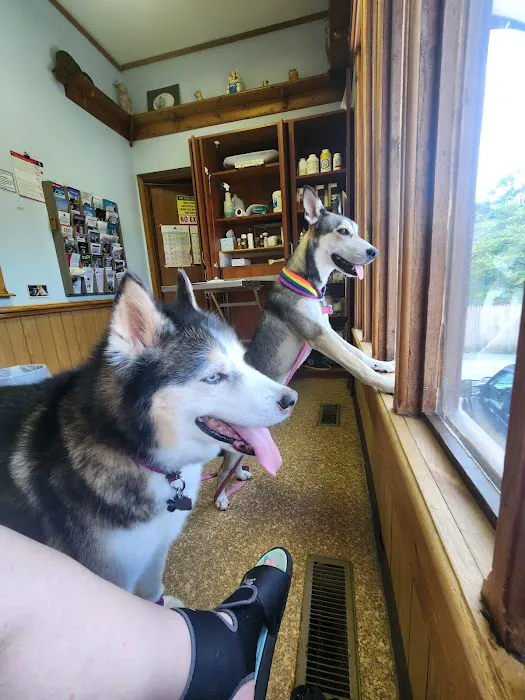 Normandy Animal Hospital Inc 2