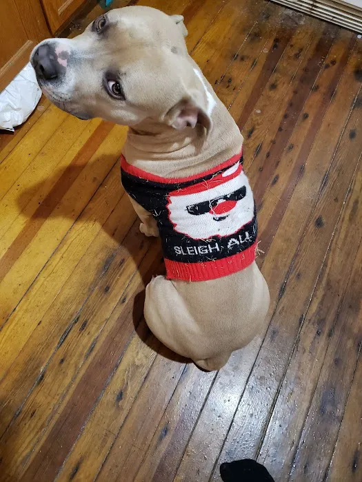 Normandy Animal Hospital Inc 9