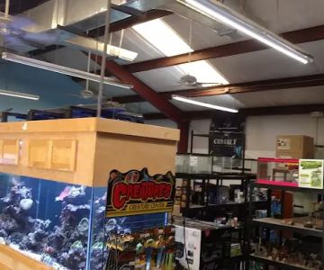 Aquatic N Exotic Inc.
