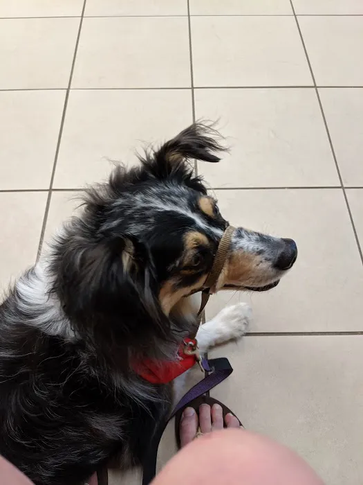 Millis Animal Hospital 6