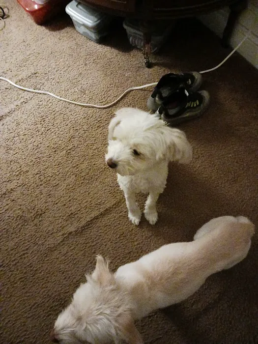 Banfield Pet Hospital 6