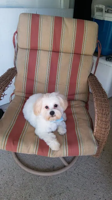 Banfield Pet Hospital 5